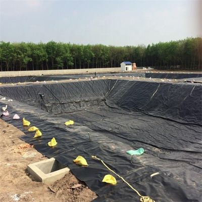 Fischfarm Teich Damm Deponien Liner HDPE Geomembran 0,5 mm 0,75 mm 1,0 mm 1,5 mm 2,0 mm 3,0 mm