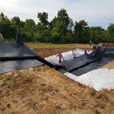 Fischfarm Teich Damm Deponien Liner HDPE Geomembran 0,5 mm 0,75 mm 1,0 mm 1,5 mm 2,0 mm 3,0 mm