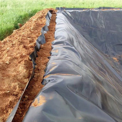 50-100m Länge HDPE Geomembran Liner für Dichte Polyethylen Teich Geomembranen