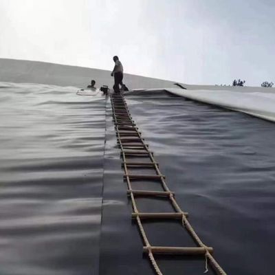 Hochdichte HDPE-Geomembran dauerhafte Wasserdichtungslösung für Fischzucht-Teich-Liner