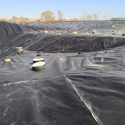 Doppel glatte Oberfläche 0,5 mm LDPE LLDPE HDPE Geomembran für die Fischindustrie