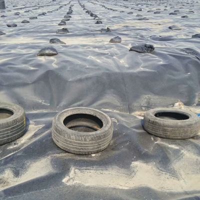 Doppel glatte Oberfläche 0,5 mm LDPE LLDPE HDPE Geomembran für die Fischindustrie