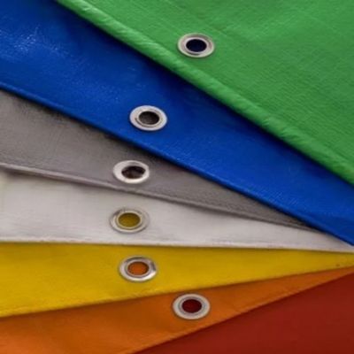 Vietnam liefert 50-300 gm Mikroporforierter PE-Tarnula-Plastikblech zu wettbewerbsfähigen Preisen