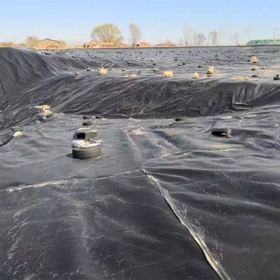50-100m Länge HDPE-Geomembran für wasserdichte Fischbecken Liner im Schwimmbad