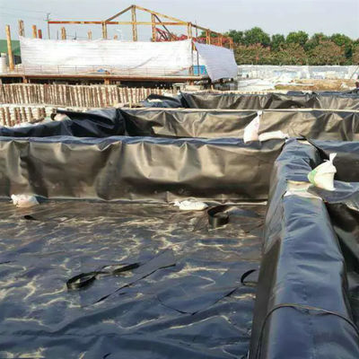 50-100m Länge HDPE-Geomembran für wasserdichte Fischbecken Liner im Schwimmbad
