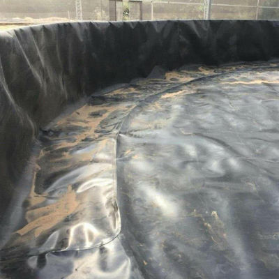 Doppelschleimige Oberfläche HDPE Geomembran 1 mm wasserdichte Membran für Garnelenfisch-Teich-Liner