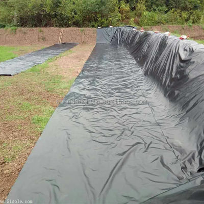 Projektlösung Kapazität HDPE Schwarze Geomembran 0,5 mm für Fisch-Garnelenzuchtbecken
