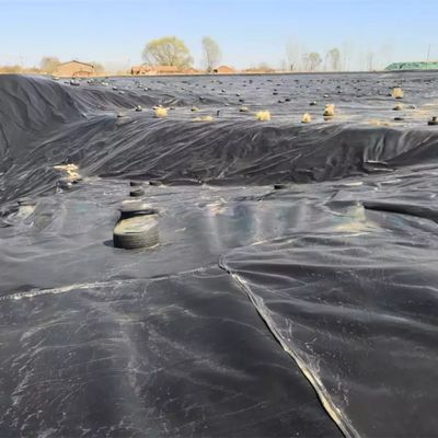 1.0mm Geomembran 2mm Hdpe Geomembran 20 Mil Teich Liner für Geomembranen 1m-8m Breite