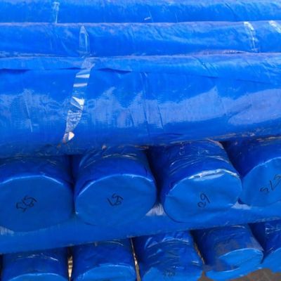 6*6-16*16 Dichte wasserdichte PE-Plastik-Plattenrolle für Lkw-/Pkw-/Bootsdecken