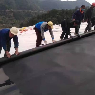 Doppel glatte/doppel texturierte Oberfläche HDPE-Geomembran für wasserdichte Plastikbelag