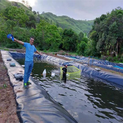 0.75mm HDPE Geoembran Wasserdichte Membran für Aquakultur Fisch und Garnelen Tank Liner
