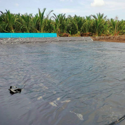 Udg Layfield Geomembran für Südafrika Reservoir Projekt in doppelter glatter Oberfläche