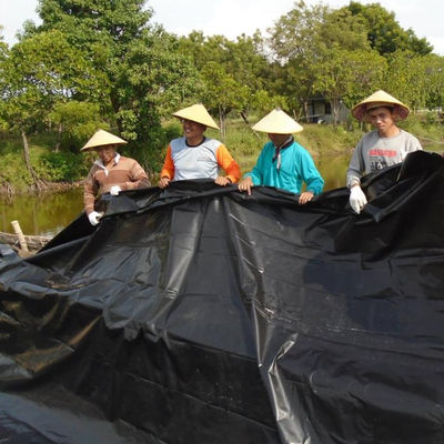 3D-Modelldesign HDPE Geomembran für Staudamm Fischfarm Tank Teich Liner 0,5 mm 1 mm 1,5 mm 2 mm