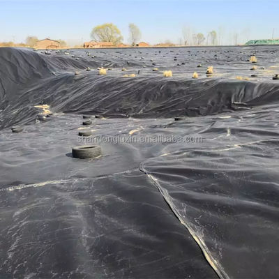 HDPE Geomembran Koi Teich Liner für Plastik Teich Fische in 50m-100m Länge und anpassbar