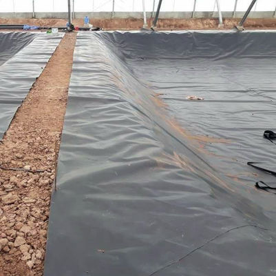 Geomembranen für künstliche See-Teich-Liner-Ausbildung vor Ort und langlebiges HDPE-Material