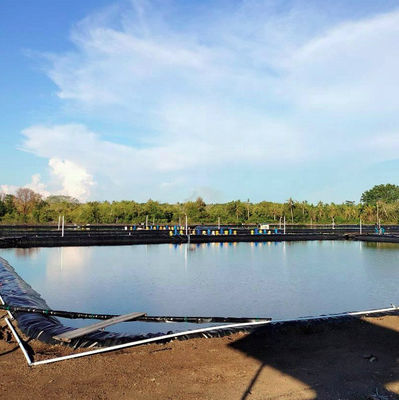 HDPE-Geomembran-Fischbecken-Liner 0,3 mm-3 mm Gesamtlösung für Wasserdichtungsprojekte