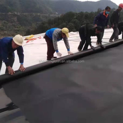 Geomembran 0,75 mm 1 mm HDPE Wasserlager Polyethylblech und Nachverkaufservice