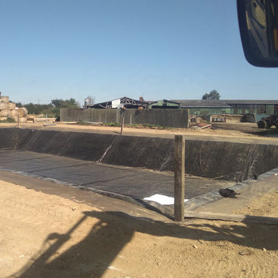500 Mikrometer HDPE-Geomembran-Fischbecken-Liner für die Wasserdichtung und die Wasserdichtung
