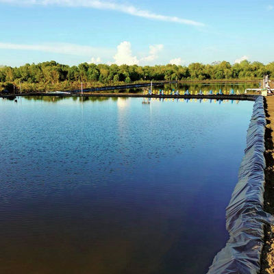 Geomembran aus HDPE für Landwirtschaftsbecken