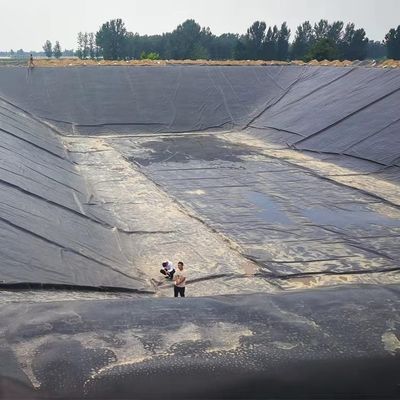 Online-Technische Unterstützung HDPE LDPE LLDPE wasserdichte Stausee Liner Drainage Membran für Erdbearbeitungsprodukte