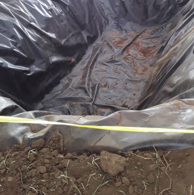 Geomembran-Wasserdichtes Liner aus 2 mm HDPE für Fischbehälter und Teiche