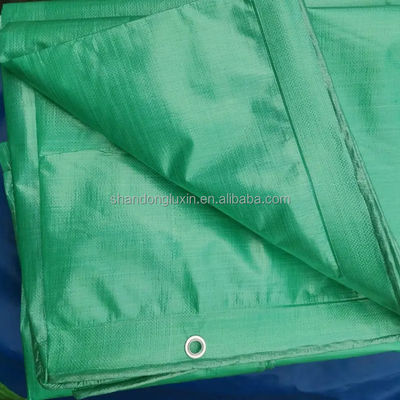 Zusammengestellte Dichte 6*6-16*16 PE Tarpaulin Abdeckung für Lkw 100% wasserdicht Grün