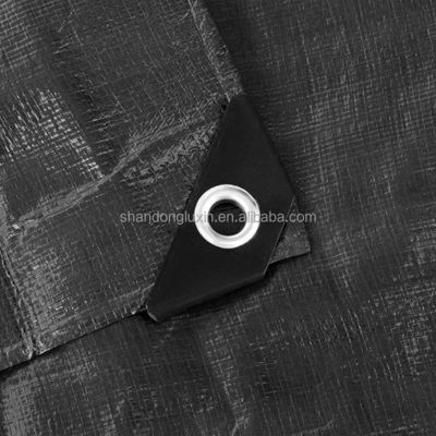 Musterbeschichtete Tarpaulin Vinyl PE Tarpaulin Klammern wasserdicht Beschichtet für Zeremonien