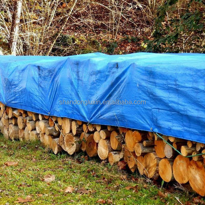 50-300gm Polyethylen-Platte für Zeremonien und wasserdicht aus Markise