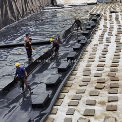 Projektlösungskapazität HDPE-Geomembran-Teichliner für die Fischkreuzzucht
