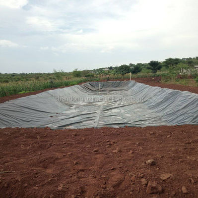 Geomembranen im Stil des industriellen Designs glatte wasserdichte HDPE-Kunststoff für Teichfolien