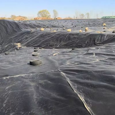 HDPE-Geomembran zur Wassergewinnung Struktur 1,5 mm 1,0 mm 0,75 mm 0,5 mm Breite 1m-8m