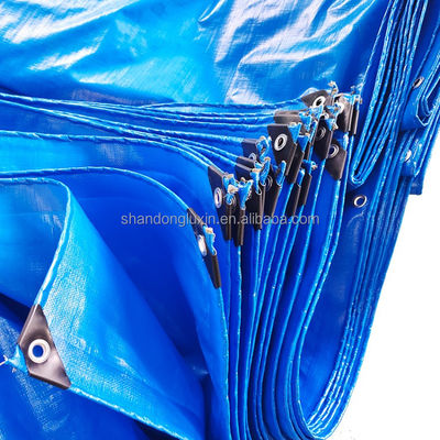 Außenindustrie-Pee Tarpaulin Korea Eyelets Duffel Tasche mit direktem und anderen Stil