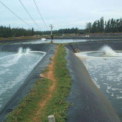 Langlebige Geomembran aus HDPE für Abwasserreinigungsanlagen für Deponien