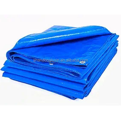 LDPE-Beschichtung HDPE-Platten für Stoffe Pe-Plattenrolle und 150g Polyethylenplatte