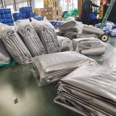 Leichte PE-Platte für den Druck von Lkw-Logos und wasserdichtes Material