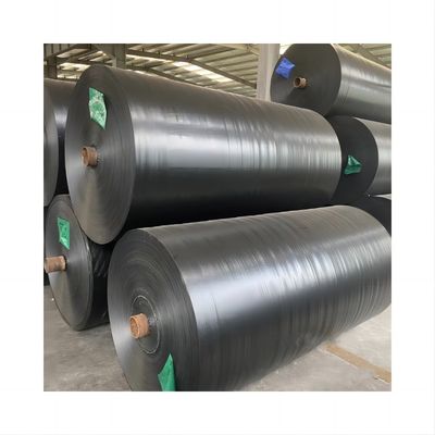 Wasserdichte und sonnendichte Tarpaulin für Lkw 3x4m 4x5m 4x6m Dichte 8*8-14*14