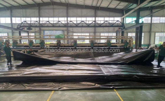 Wasserdichte und sonnendichte Tarpaulin für Lkw 3x4m 4x5m 4x6m Dichte 8*8-14*14