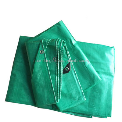 Regendichte Tarpaulin mit individueller Farbe und 140 gsm direkt vom