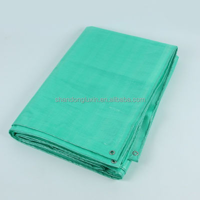 PE-beschichtete Tarpaulin für Baustellen, Sonnenlicht- und Staubschutz 500D Garnzahl