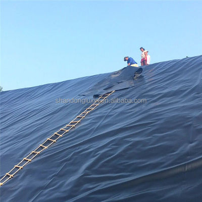 ASTM GRI-GM13 Standard Geomembran für langlebigen und punktionsbeständigen Schutz
