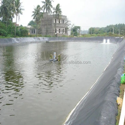 Umweltschonende schwarze Geomembran aus HDPE für Fischbecken ASTM GRI-GM13 Norm