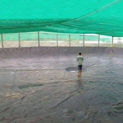 Schwarze, gegen Stechungen anfallende, Säure- und Alkalibeständige Geomembran für Fischbecken direkt