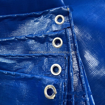 Wasserdichte Silberblaue PE-Platte für Baldachinzelt Boot oder Pool Deckel 50gsm-280gsm