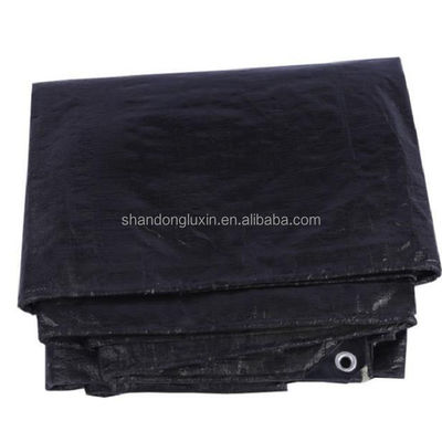 Druckte Polytarpe 20x30 30x50 40x60 für schwere Wasserdichte Pe-Tarpe auf dem US-Markt