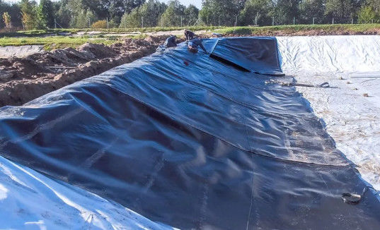 Modernes Design Schwarzes HDPE Glatte Geomembran 0,5 mm 1 mm für Deponien und Fischbecken