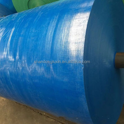 Anti-Pull Blaue PE-Platte mit wasserdichtem und garnenreichem Deckblatt 650D 2000D