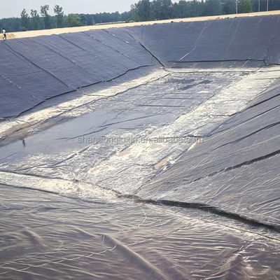 Geomembran mit doppelt glatter Oberfläche für Süßwasserfarmen