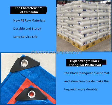 PE-Plastikplatten für Lkw zu erschwinglichen Preisen