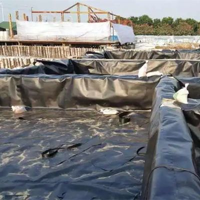 Fischzucht Teiche Becken Lagune Aquakultur Hochdichte Polyethylen Geomembran 2 mm