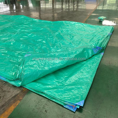 Regendicht Sonnendicht PE-Platte Wasserdicht 220 gsm Feuchtigkeitsdicht und staubdicht